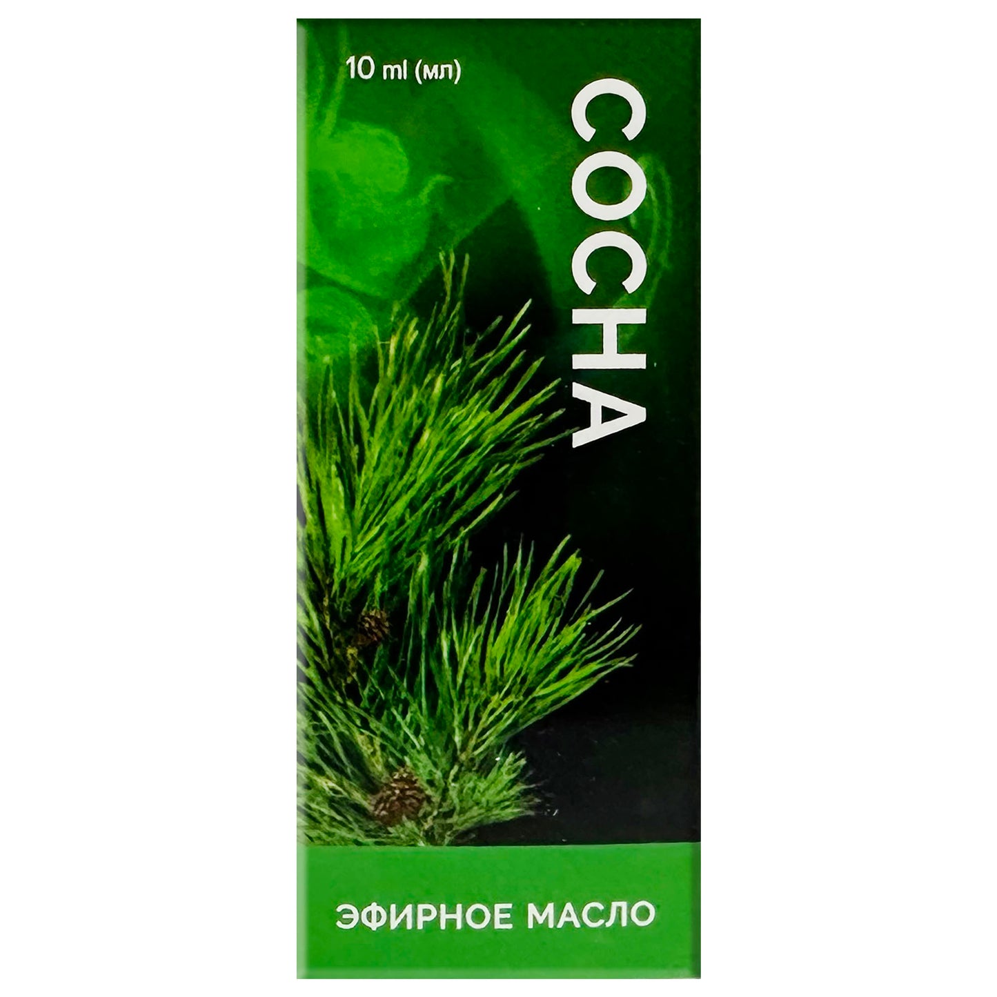 Pine essential oil 10 ml (0.33 oz)