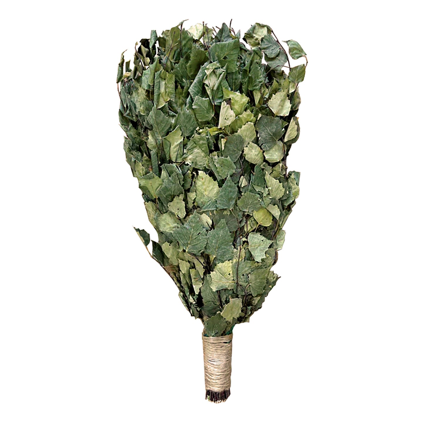 Birch Venik (Sauna whisks) 2 pcs