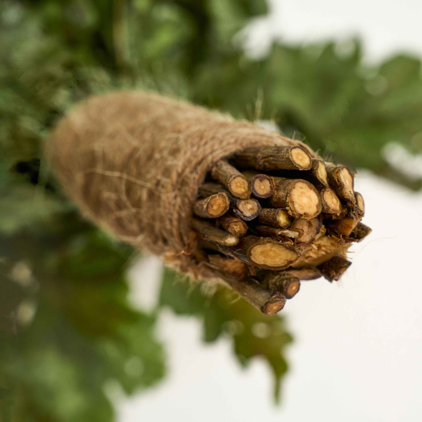 Birch Venik (Sauna whisks) 2 pcs