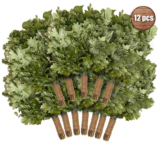 European OAK Venik (Sauna whisks) 12 pcs