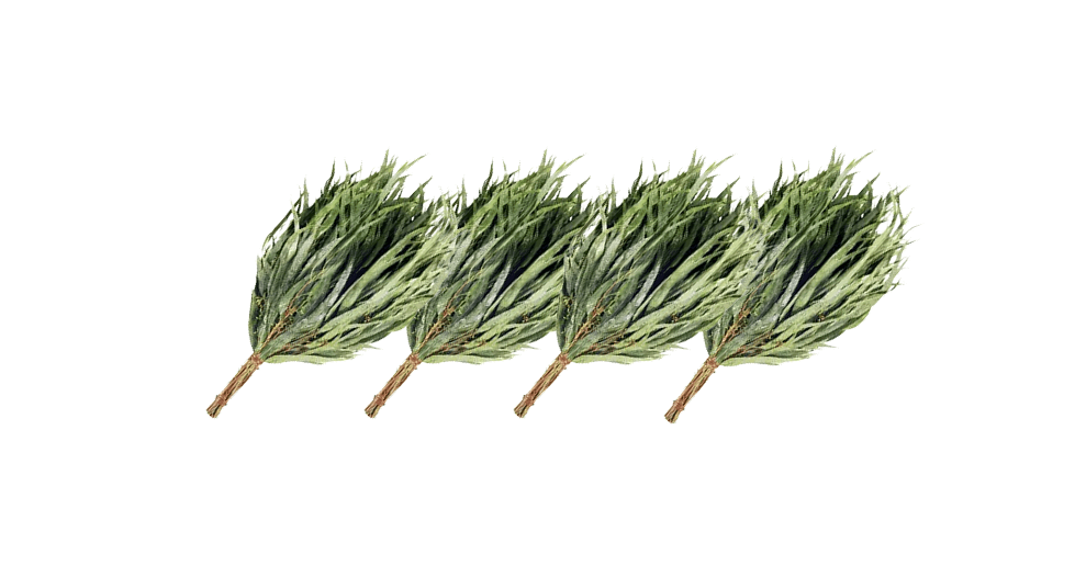 Eucalyptus Sauna Whisk: Benefits and Usage Guide